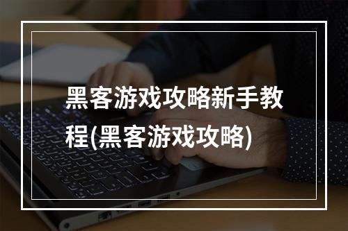 黑客游戏攻略新手教程(黑客游戏攻略)