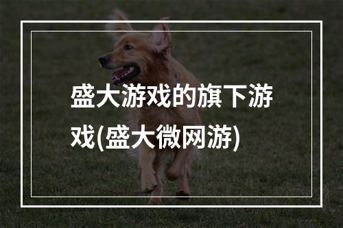 盛大游戏的旗下游戏(盛大微网游)