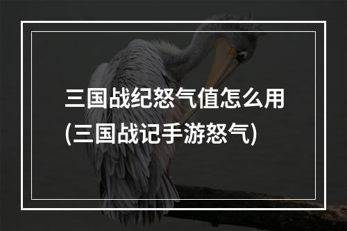 三国战纪怒气值怎么用(三国战记手游怒气)