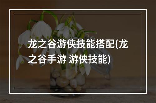 龙之谷游侠技能搭配(龙之谷手游 游侠技能)