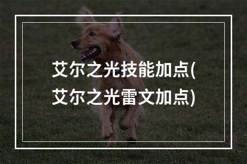 艾尔之光技能加点(艾尔之光雷文加点)