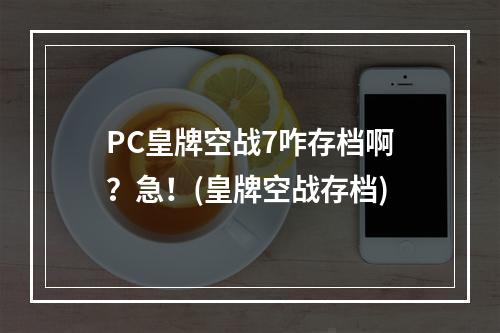 PC皇牌空战7咋存档啊？急！(皇牌空战存档)