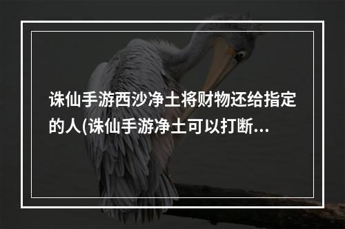 诛仙手游西沙净土将财物还给指定的人(诛仙手游净土可以打断)