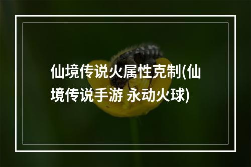 仙境传说火属性克制(仙境传说手游 永动火球)