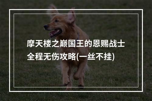 摩天楼之巅国王的恩赐战士全程无伤攻略(一丝不挂)