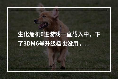 生化危机6进游戏一直载入中，下了3DM6号升级档也没用，(生化危机63dm)