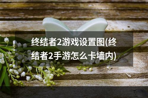 终结者2游戏设置图(终结者2手游怎么卡墙内)