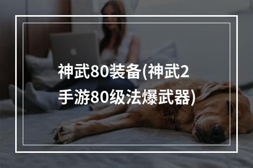 神武80装备(神武2手游80级法爆武器)