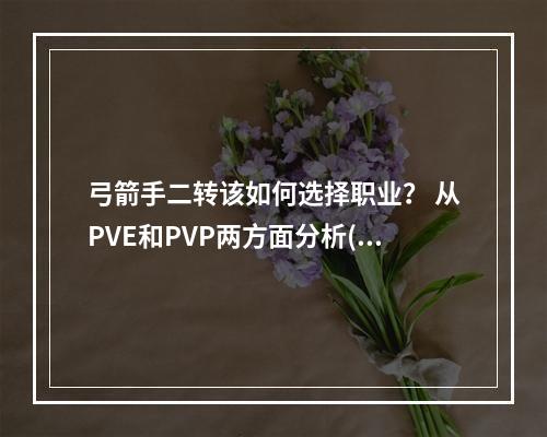 弓箭手二转该如何选择职业？ 从PVE和PVP两方面分析(职业选择建议)