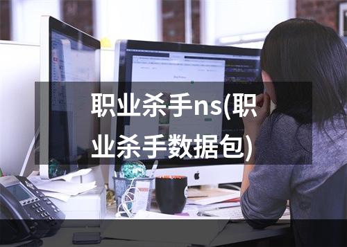 职业杀手ns(职业杀手数据包)