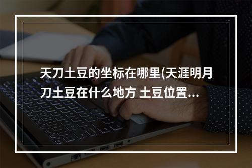 天刀土豆的坐标在哪里(天涯明月刀土豆在什么地方 土豆位置分享 天涯明月刀手游)