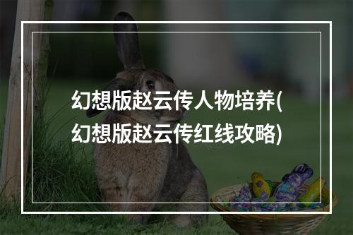 幻想版赵云传人物培养(幻想版赵云传红线攻略)