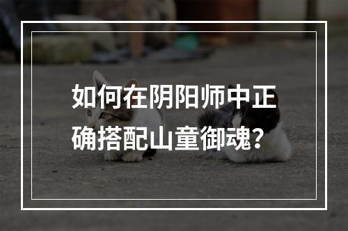 如何在阴阳师中正确搭配山童御魂？