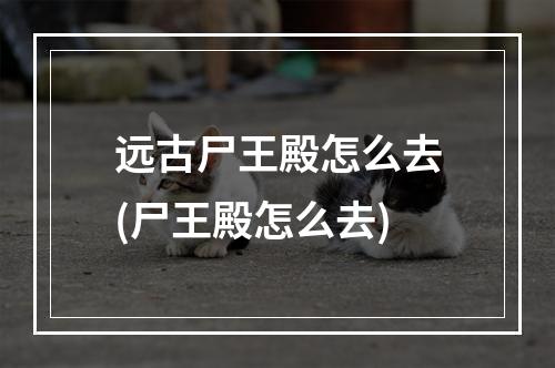 远古尸王殿怎么去(尸王殿怎么去)