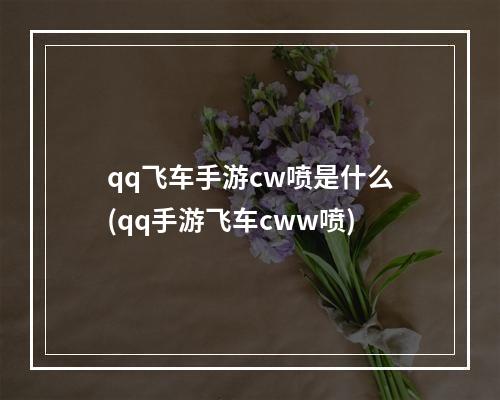 qq飞车手游cw喷是什么(qq手游飞车cww喷)