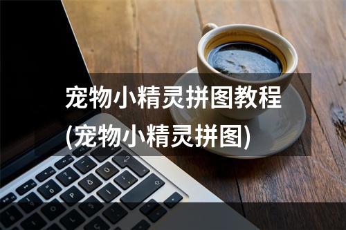 宠物小精灵拼图教程(宠物小精灵拼图)