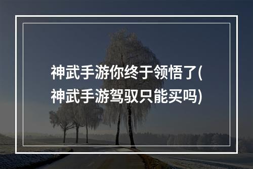 神武手游你终于领悟了(神武手游驾驭只能买吗)