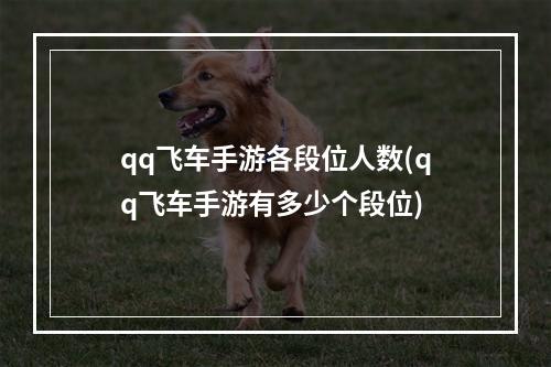 qq飞车手游各段位人数(qq飞车手游有多少个段位)