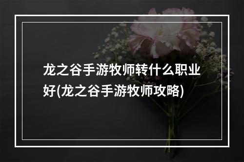 龙之谷手游牧师转什么职业好(龙之谷手游牧师攻略)