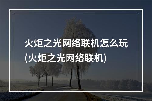 火炬之光网络联机怎么玩(火炬之光网络联机)