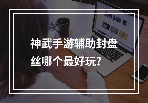 神武手游辅助封盘丝哪个最好玩？