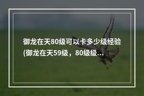 御龙在天80级可以卡多少级经验(御龙在天59级，80级级挂机地点)