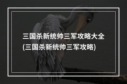 三国杀新统帅三军攻略大全(三国杀新统帅三军攻略)