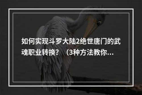 如何实现斗罗大陆2绝世唐门的武魂职业转换？（3种方法教你切换职业）