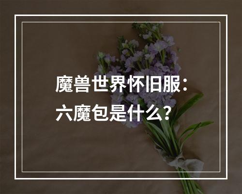 魔兽世界怀旧服：六魔包是什么？