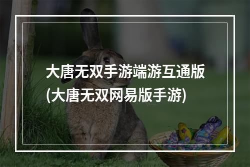 大唐无双手游端游互通版(大唐无双网易版手游)