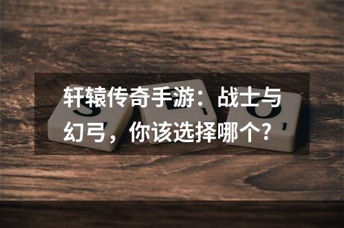 轩辕传奇手游：战士与幻弓，你该选择哪个?