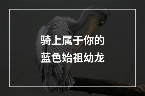 骑上属于你的蓝色始祖幼龙