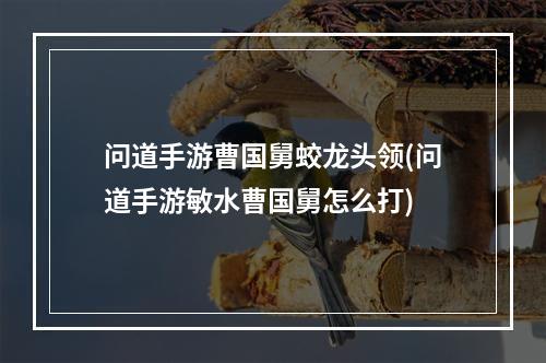 问道手游曹国舅蛟龙头领(问道手游敏水曹国舅怎么打)