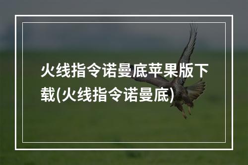 火线指令诺曼底苹果版下载(火线指令诺曼底)