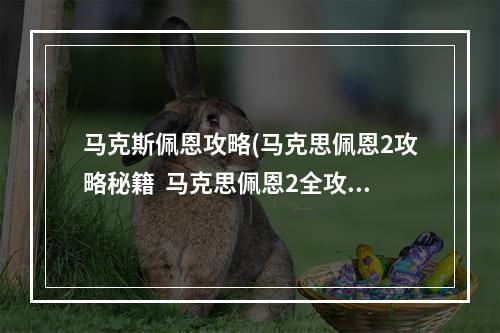 马克斯佩恩攻略(马克思佩恩2攻略秘籍  马克思佩恩2全攻略  马克思佩恩2)