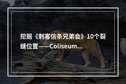 挖掘《刺客信条兄弟会》10个裂缝位置——Coliseum之旅(地图附图解)