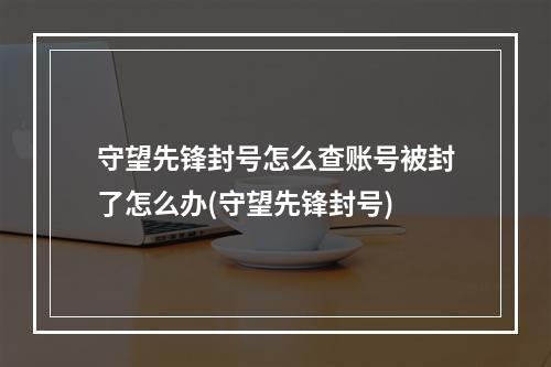 守望先锋封号怎么查账号被封了怎么办(守望先锋封号)