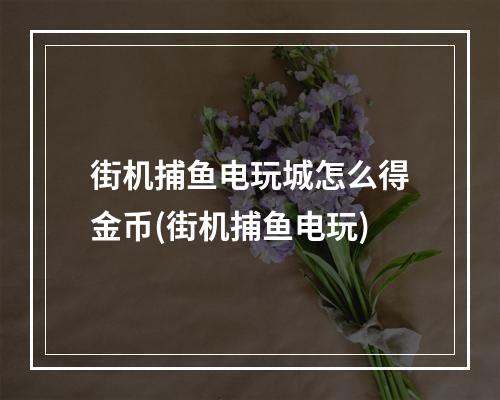 街机捕鱼电玩城怎么得金币(街机捕鱼电玩)