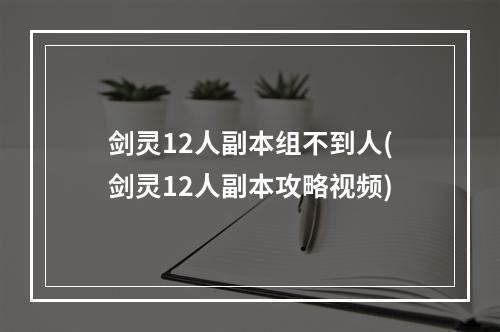 剑灵12人副本组不到人(剑灵12人副本攻略视频)