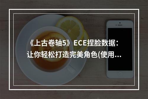 《上古卷轴5》ECE捏脸数据：让你轻松打造完美角色(使用方法)文章