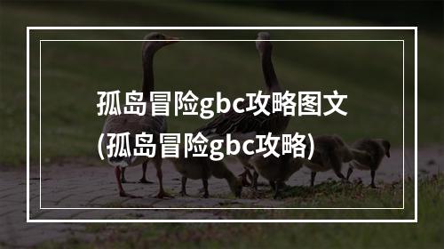 孤岛冒险gbc攻略图文(孤岛冒险gbc攻略)