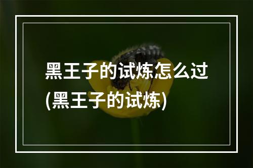 黑王子的试炼怎么过(黑王子的试炼)