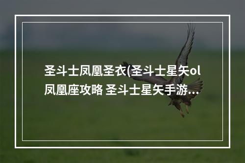 圣斗士凤凰圣衣(圣斗士星矢ol凤凰座攻略 圣斗士星矢手游凤凰座一辉)