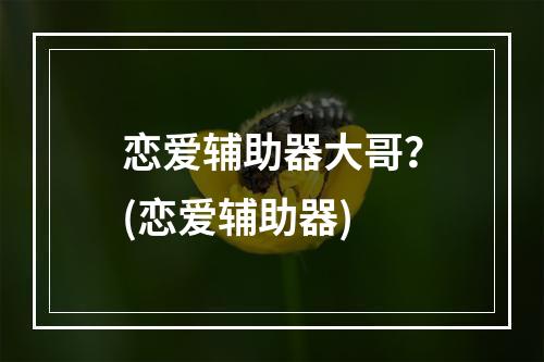 恋爱辅助器大哥？(恋爱辅助器)