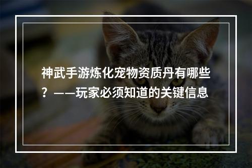 神武手游炼化宠物资质丹有哪些？——玩家必须知道的关键信息