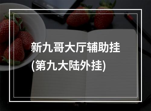 新九哥大厅辅助挂(第九大陆外挂)