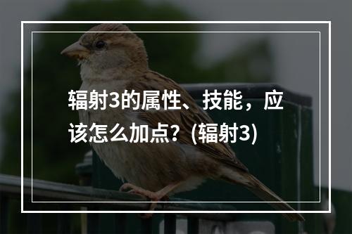 辐射3的属性、技能，应该怎么加点？(辐射3)