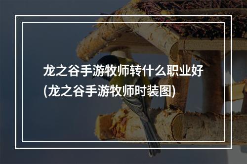 龙之谷手游牧师转什么职业好(龙之谷手游牧师时装图)