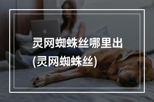 灵网蜘蛛丝哪里出(灵网蜘蛛丝)