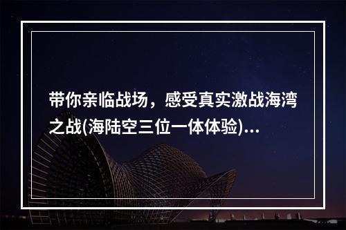 带你亲临战场，感受真实激战海湾之战(海陆空三位一体体验)(《激战海湾》带你跨越海陆空，迎接充满危险的挑战)